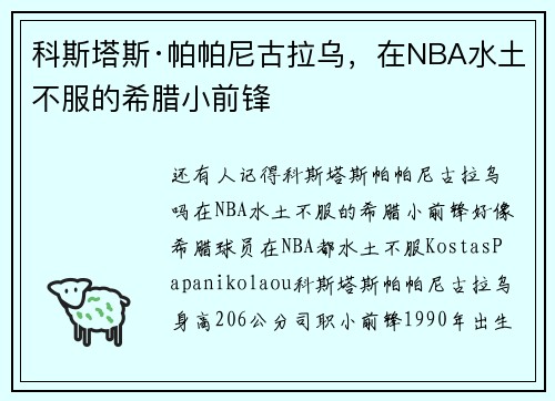 科斯塔斯·帕帕尼古拉乌，在NBA水土不服的希腊小前锋